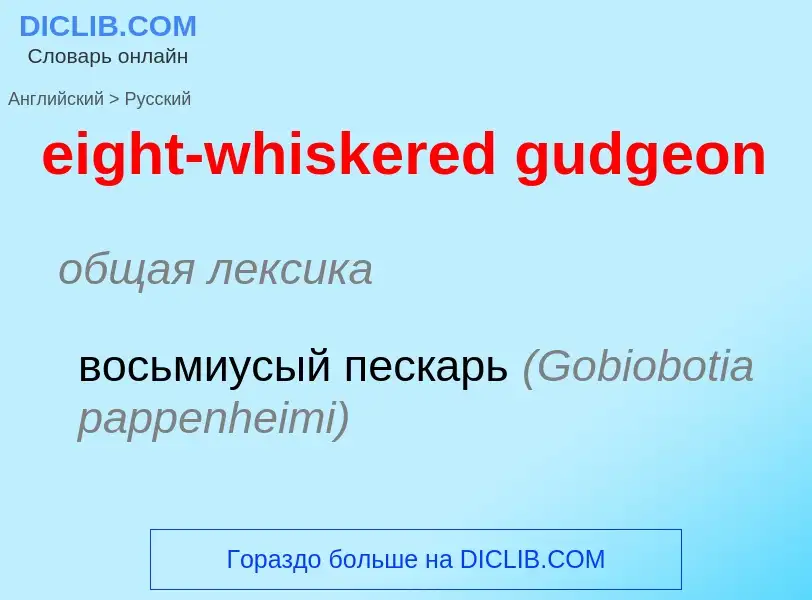 Vertaling van &#39eight-whiskered gudgeon&#39 naar Russisch