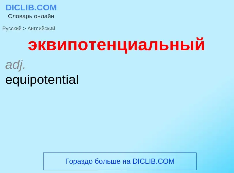 Как переводится эквипотенциальный на Английский язык