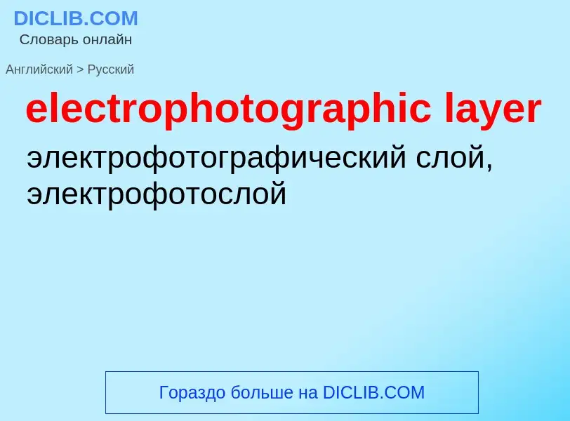 Как переводится electrophotographic layer на Русский язык