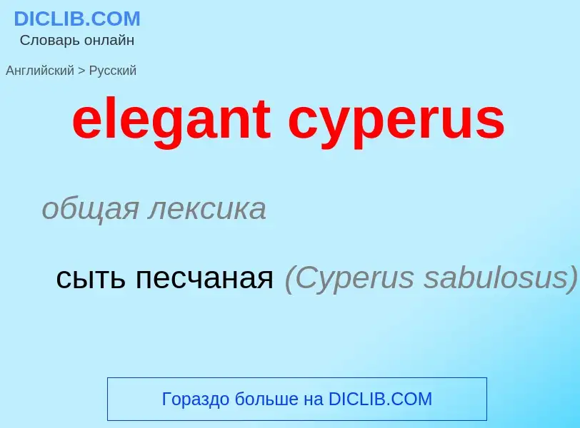 Как переводится elegant cyperus на Русский язык