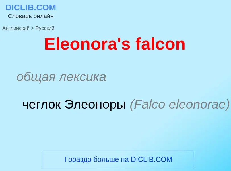 ¿Cómo se dice Eleonora's falcon en Ruso? Traducción de &#39Eleonora's falcon&#39 al Ruso