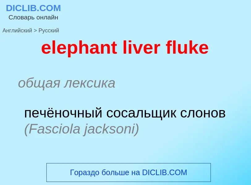 Traduzione di &#39elephant liver fluke&#39 in Russo