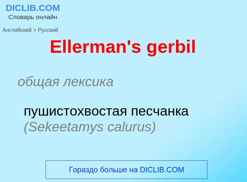 ¿Cómo se dice Ellerman's gerbil en Ruso? Traducción de &#39Ellerman's gerbil&#39 al Ruso