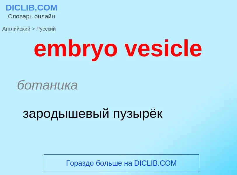 Übersetzung von &#39embryo vesicle&#39 in Russisch