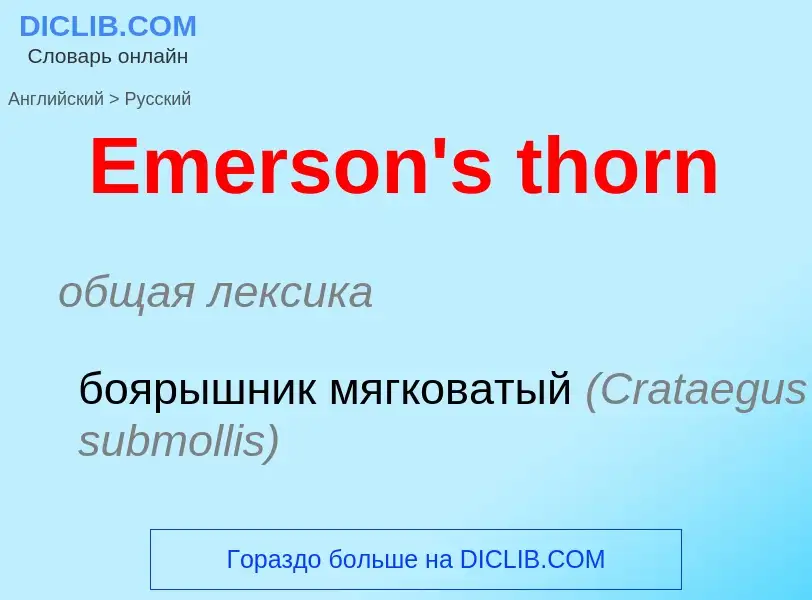 ¿Cómo se dice Emerson's thorn en Ruso? Traducción de &#39Emerson's thorn&#39 al Ruso