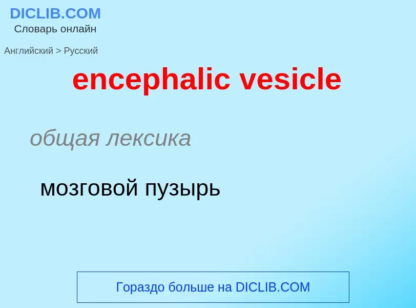 Übersetzung von &#39encephalic vesicle&#39 in Russisch