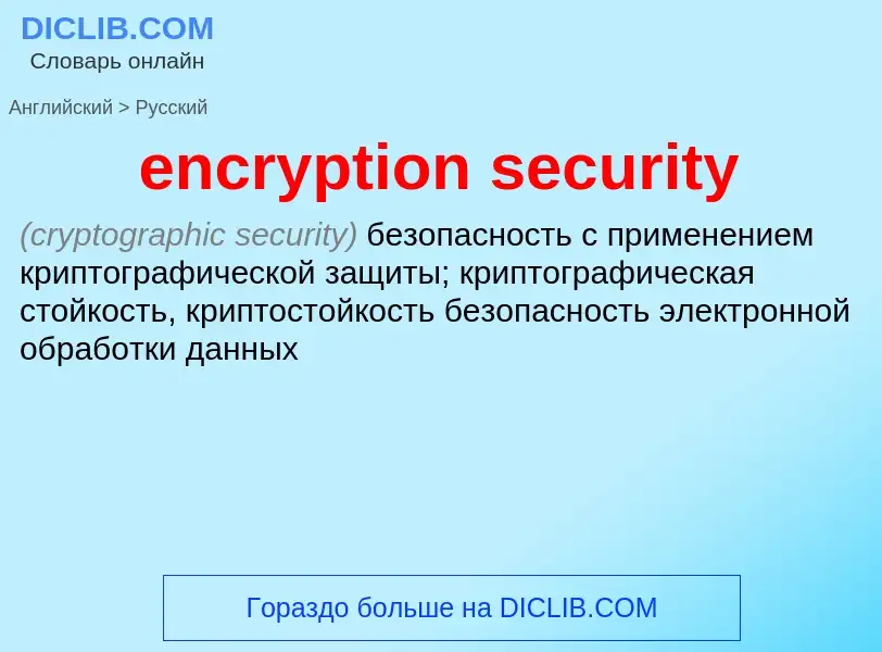 Vertaling van &#39encryption security&#39 naar Russisch