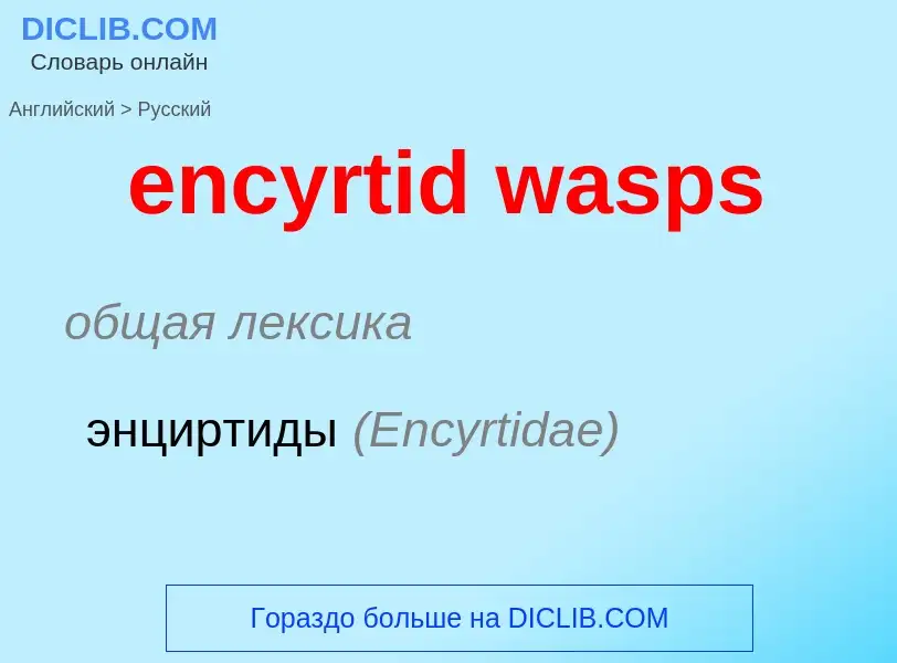 Μετάφραση του &#39encyrtid wasps&#39 σε Ρωσικά