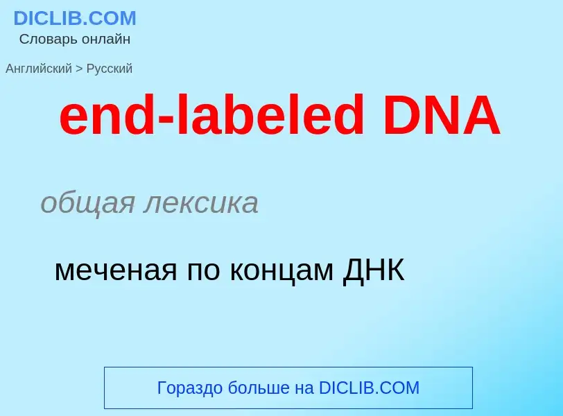 Traduzione di &#39end-labeled DNA&#39 in Russo