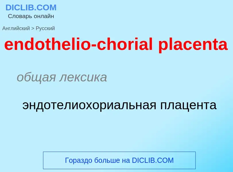 Как переводится endothelio-chorial placenta на Русский язык