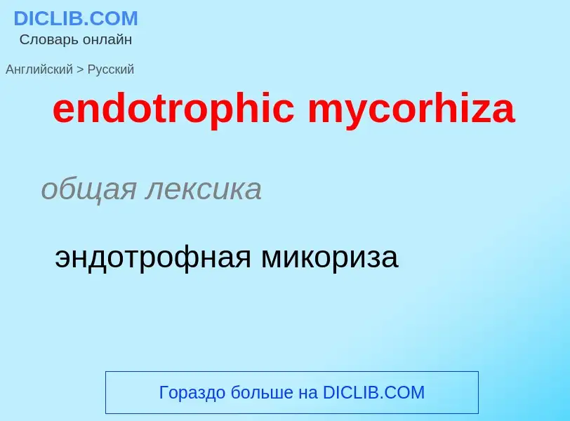 Como se diz endotrophic mycorhiza em Russo? Tradução de &#39endotrophic mycorhiza&#39 em Russo