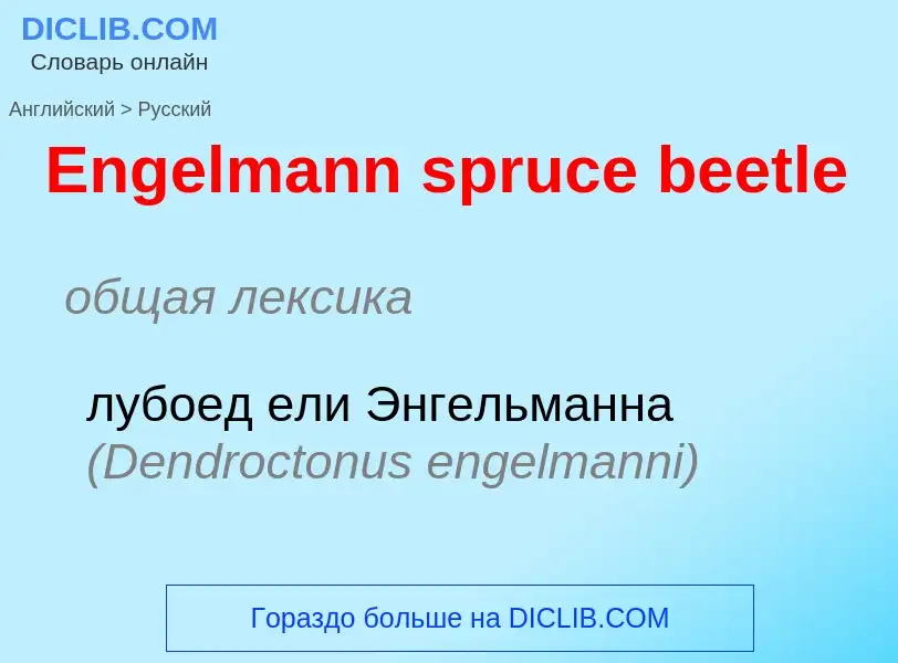 ¿Cómo se dice Engelmann spruce beetle en Ruso? Traducción de &#39Engelmann spruce beetle&#39 al Ruso