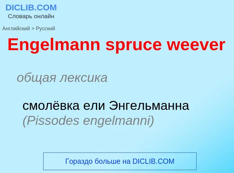 ¿Cómo se dice Engelmann spruce weever en Ruso? Traducción de &#39Engelmann spruce weever&#39 al Ruso