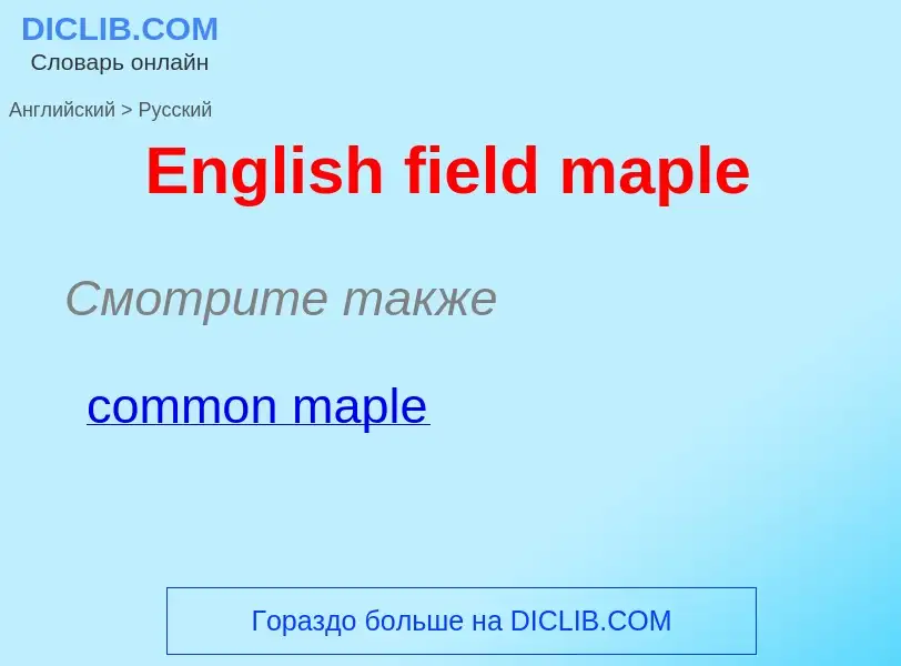 ¿Cómo se dice English field maple en Ruso? Traducción de &#39English field maple&#39 al Ruso