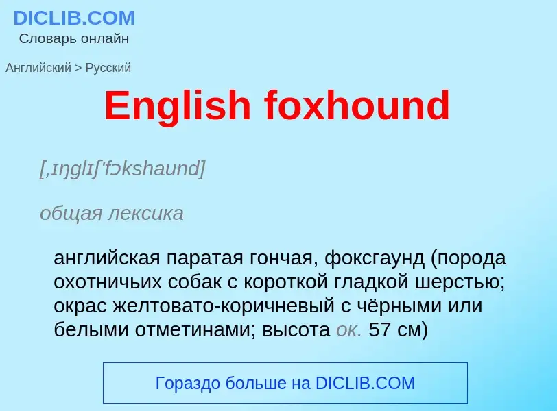 ¿Cómo se dice English foxhound en Ruso? Traducción de &#39English foxhound&#39 al Ruso