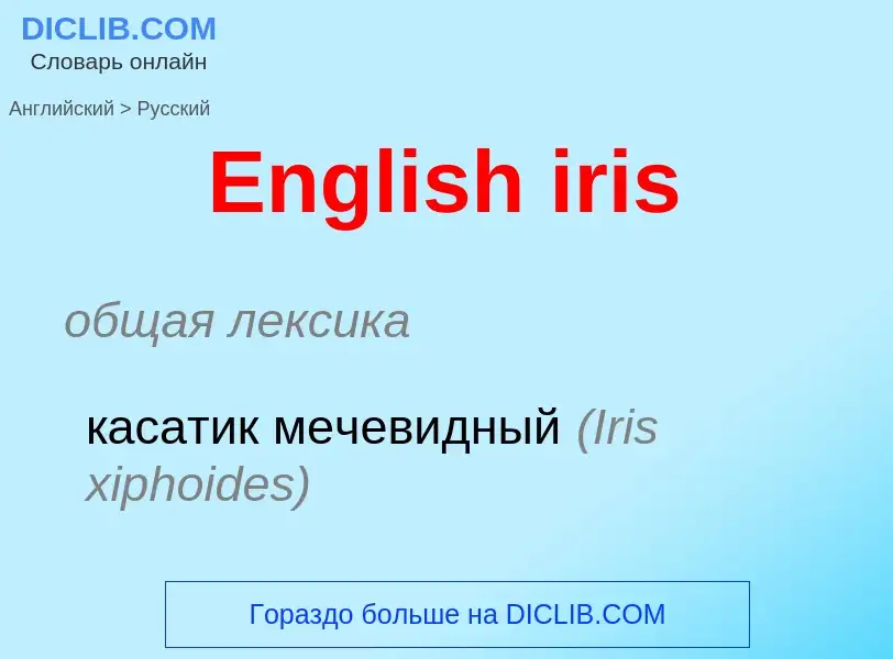 ¿Cómo se dice English iris en Ruso? Traducción de &#39English iris&#39 al Ruso