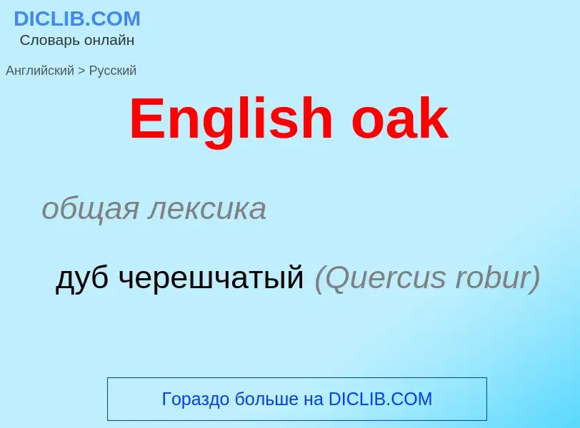 ¿Cómo se dice English oak en Ruso? Traducción de &#39English oak&#39 al Ruso