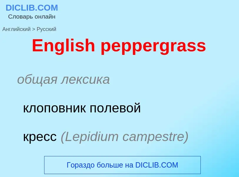 ¿Cómo se dice English peppergrass en Ruso? Traducción de &#39English peppergrass&#39 al Ruso