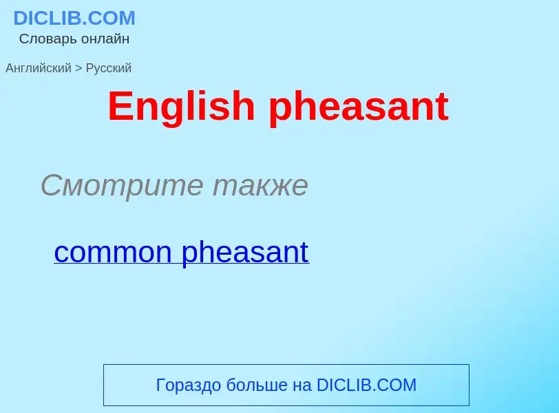 ¿Cómo se dice English pheasant en Ruso? Traducción de &#39English pheasant&#39 al Ruso