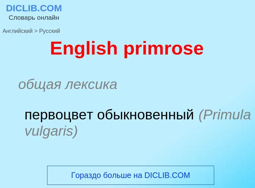 ¿Cómo se dice English primrose en Ruso? Traducción de &#39English primrose&#39 al Ruso