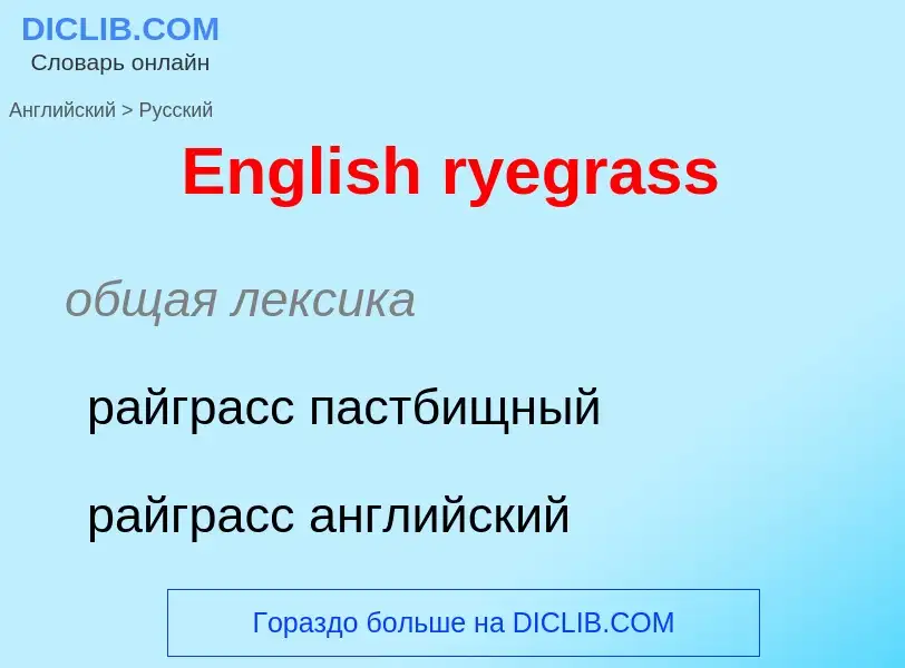 Vertaling van &#39English ryegrass&#39 naar Russisch