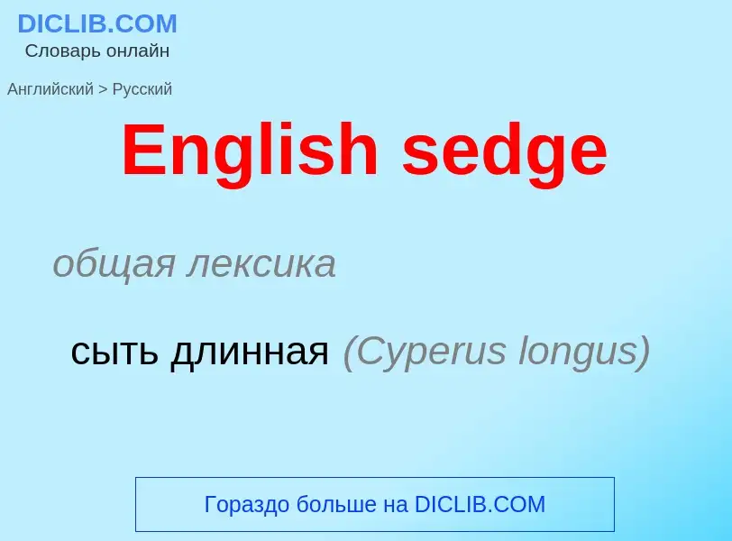 ¿Cómo se dice English sedge en Ruso? Traducción de &#39English sedge&#39 al Ruso