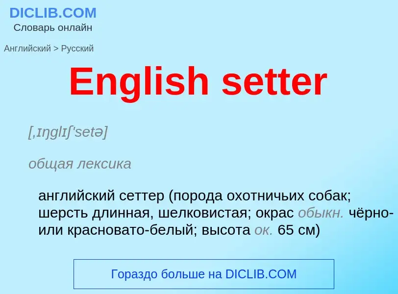 ¿Cómo se dice English setter en Ruso? Traducción de &#39English setter&#39 al Ruso