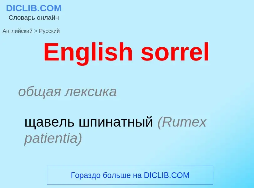 ¿Cómo se dice English sorrel en Ruso? Traducción de &#39English sorrel&#39 al Ruso