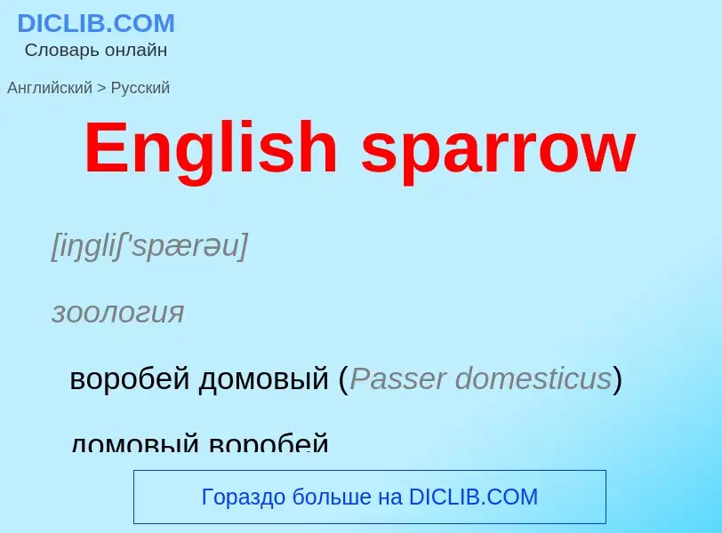 ¿Cómo se dice English sparrow en Ruso? Traducción de &#39English sparrow&#39 al Ruso