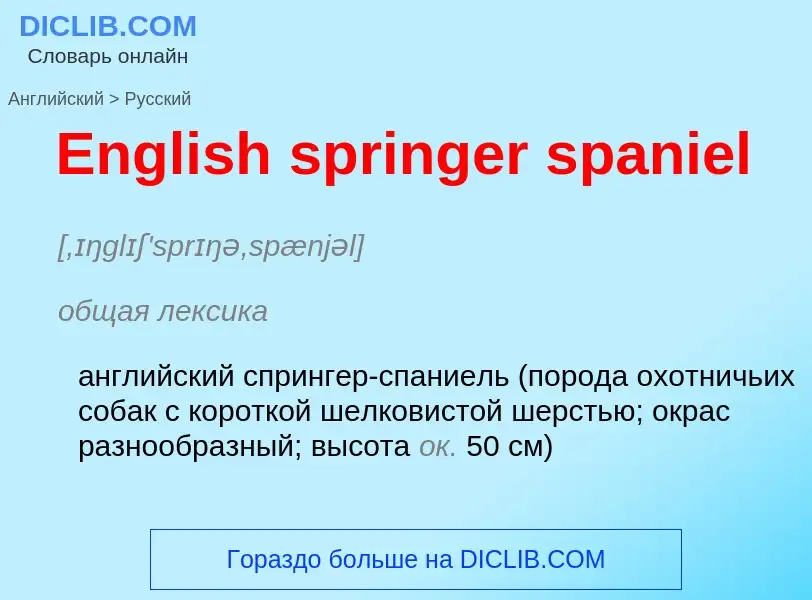 ¿Cómo se dice English springer spaniel en Ruso? Traducción de &#39English springer spaniel&#39 al Ru