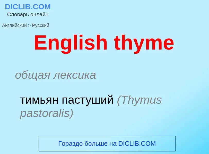 ¿Cómo se dice English thyme en Ruso? Traducción de &#39English thyme&#39 al Ruso