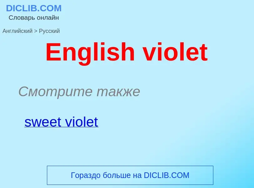 ¿Cómo se dice English violet en Ruso? Traducción de &#39English violet&#39 al Ruso