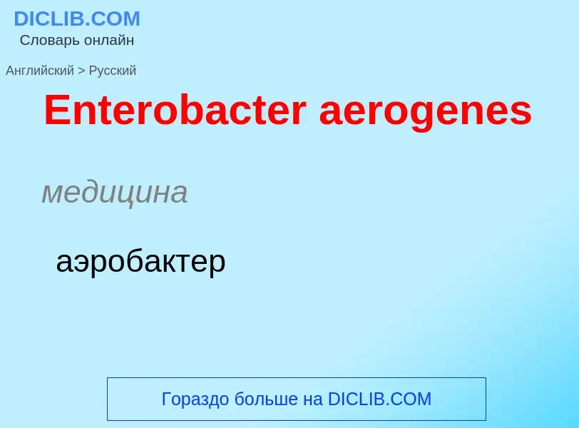 ¿Cómo se dice Enterobacter aerogenes en Ruso? Traducción de &#39Enterobacter aerogenes&#39 al Ruso