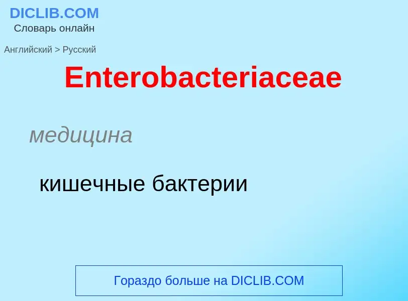 ¿Cómo se dice Enterobacteriaceae en Ruso? Traducción de &#39Enterobacteriaceae&#39 al Ruso