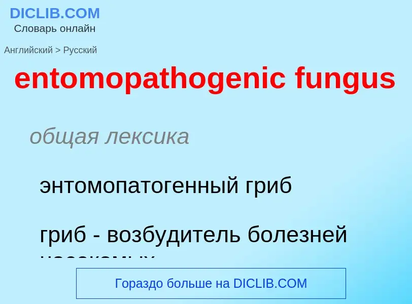 Μετάφραση του &#39entomopathogenic fungus&#39 σε Ρωσικά