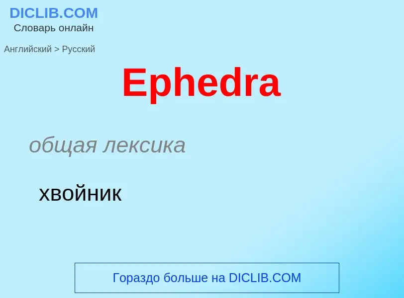 ¿Cómo se dice Ephedra en Ruso? Traducción de &#39Ephedra&#39 al Ruso