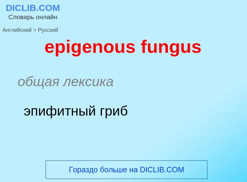 Μετάφραση του &#39epigenous fungus&#39 σε Ρωσικά