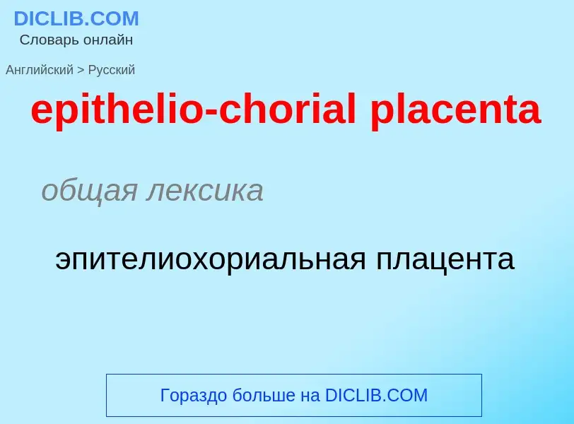 Как переводится epithelio-chorial placenta на Русский язык