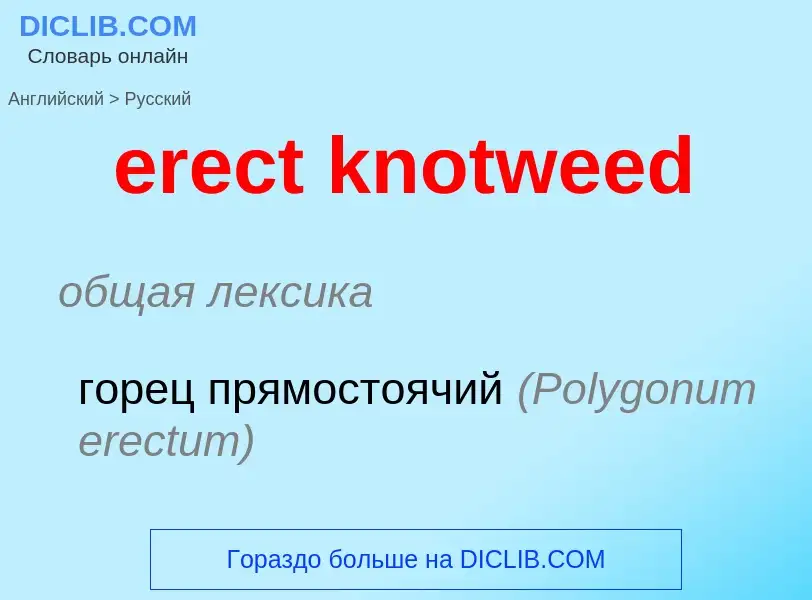 Μετάφραση του &#39erect knotweed&#39 σε Ρωσικά