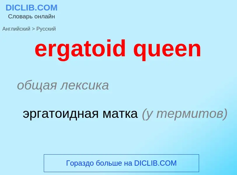 Как переводится ergatoid queen на Русский язык