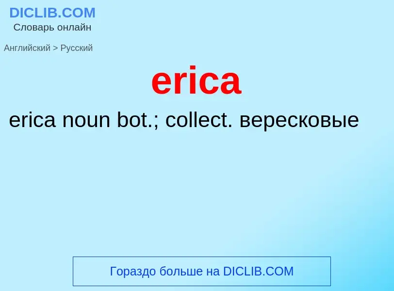 ¿Cómo se dice erica en Ruso? Traducción de &#39erica&#39 al Ruso