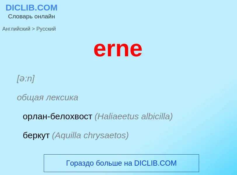 ¿Cómo se dice erne en Ruso? Traducción de &#39erne&#39 al Ruso