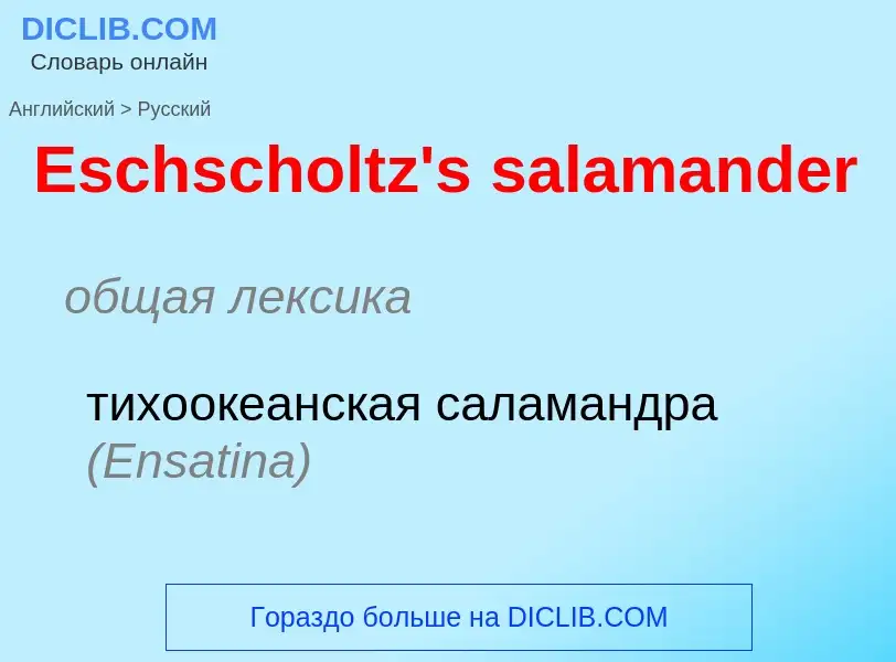 ¿Cómo se dice Eschscholtz's salamander en Ruso? Traducción de &#39Eschscholtz's salamander&#39 al Ru