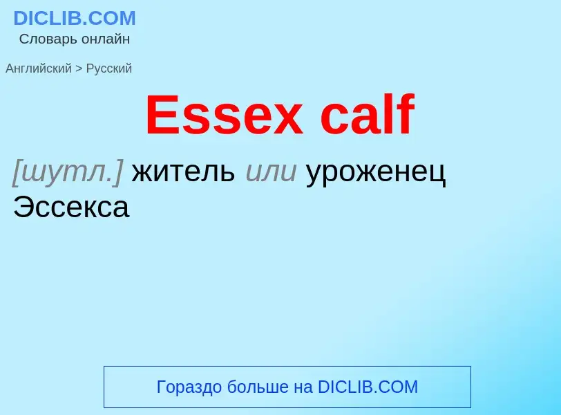 ¿Cómo se dice Essex calf en Ruso? Traducción de &#39Essex calf&#39 al Ruso