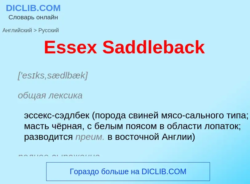 ¿Cómo se dice Essex Saddleback en Ruso? Traducción de &#39Essex Saddleback&#39 al Ruso