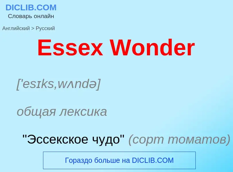 ¿Cómo se dice Essex Wonder en Ruso? Traducción de &#39Essex Wonder&#39 al Ruso