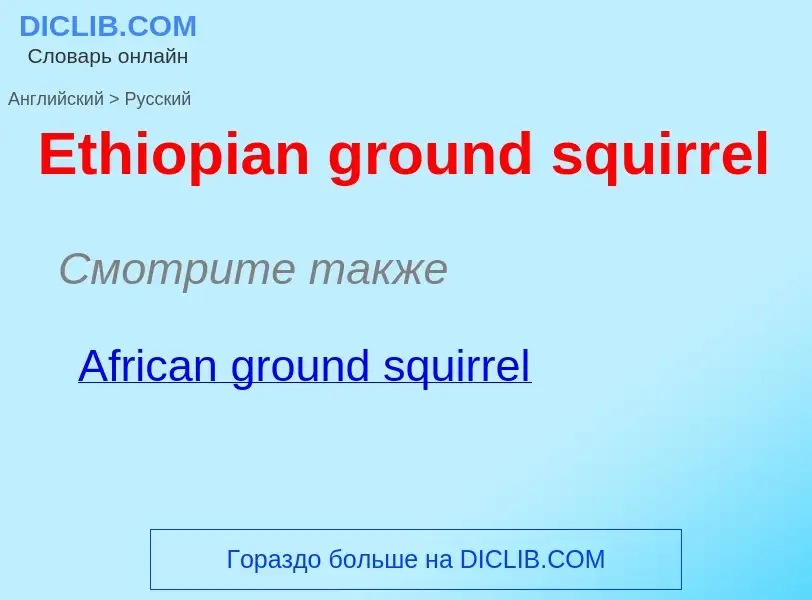 ¿Cómo se dice Ethiopian ground squirrel en Ruso? Traducción de &#39Ethiopian ground squirrel&#39 al 