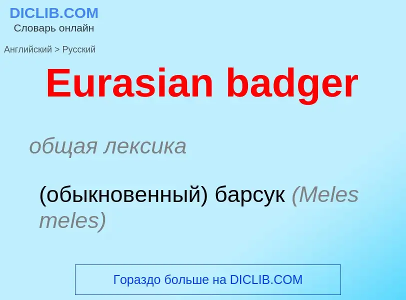 Как переводится Eurasian badger на Русский язык