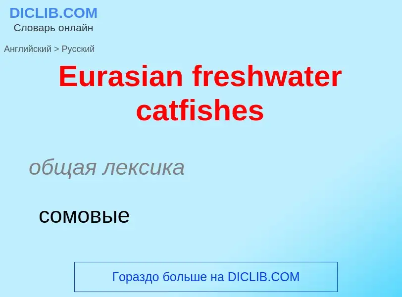 ¿Cómo se dice Eurasian freshwater catfishes en Ruso? Traducción de &#39Eurasian freshwater catfishes