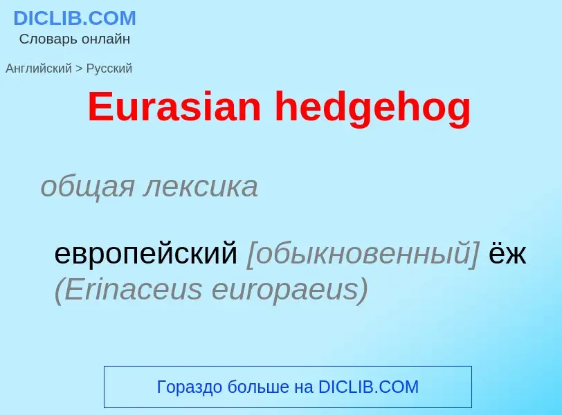 ¿Cómo se dice Eurasian hedgehog en Ruso? Traducción de &#39Eurasian hedgehog&#39 al Ruso